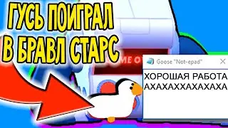 БРАВЛ СТАРС НО С ГУСЁМ НА РАБОЧЕМ СТОЛЕ (Я НЕ МОГУ ТАК ИГРАТЬ) гусь на рабочем столе в Brawl Stars