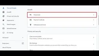 How to Backup Chrome Passwords?