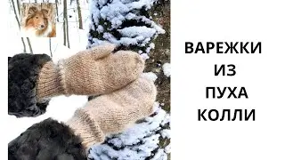 ВАРЕЖКИ ИЗ СОБАЧЬЕЙ ШЕРСТИ // колли // knitted mittens //