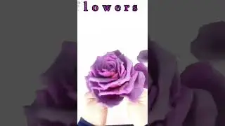 Sugar art  
