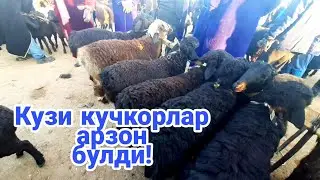 Карши Карвон мол бозори нархлари 12.02.2023 й