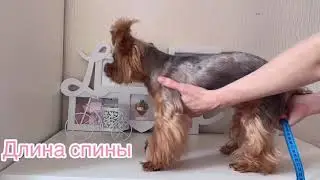 Как снять размеры для пыльника «ВТОРАЯ КОЖА»