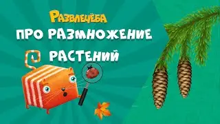 Развлечёба. Окружающий мир. Про размножение растений