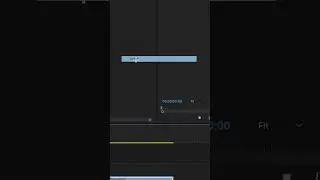 How to separate your video and audio in adobe premiere pro?