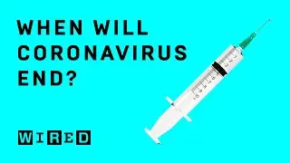 When will we get a coronavirus vaccine? | WIRED Explains