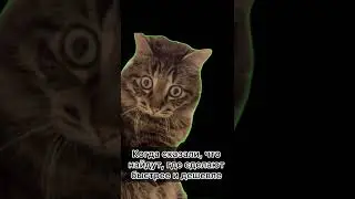 #СДМГидравлика