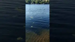 Водні процедури