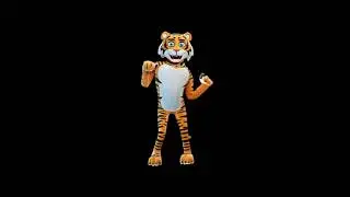 Tiger funny dancing 2022-FOOTAGE