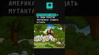 Киргизский баран и 74 овцы помогли американцу создать мутанта 