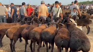 Shahidon qõy bozori bugungi narhlar bilan tanishing 27.08.2024yil