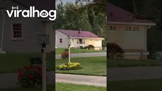 Danny DeVito Cutout Watches the Neighborhood || ViralHog