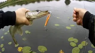 Осенний отрыв по щуке!!!