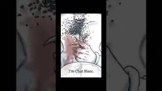 Я БОЛЬШЕ НЕ КОТ НУАР 