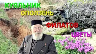 Куяльник. Одесса. Филатовский источник. Августовка. Ирисы. Оползень. Владимир Филатов глаза 