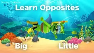 Learn OPPOSITES With Gummibär - BIG and LITTLE - Gummy Shark Week 2019 - Learn English Words