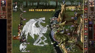 Heroes 3 COMBAT One year growth Fortress was attacked by Necropolis SoD