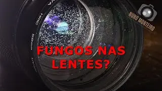 Fungos nas lentes? Como evitar!