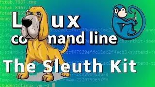 Basic intro to The Sleuth Kit command line tools