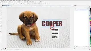 Using the Text Tool in PHOTO-PAINT (Windows)