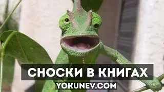 Занимательно о сносках: Как делать сноски и зачем?