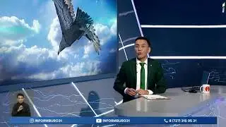 Международный фестиваль беркутчи впервые прошел в Восточном Казахстане
