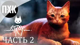 МЕРТВЫЙ ГОРОД ➤ Stray ➤ Прохождение 2