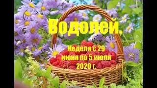 Водолей. Таро-прогноз на неделю с 29 июня по 5 июля 2020 г.