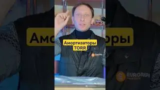 Амортизаторы TORR брать или нет❓ 