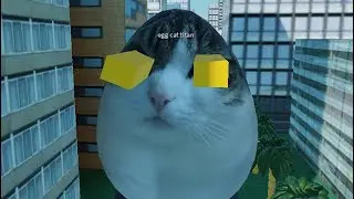 Cat egg 3