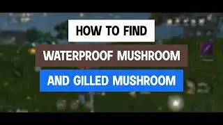 How to Find Mushroom in Chimeraland - Chimeraland Guide