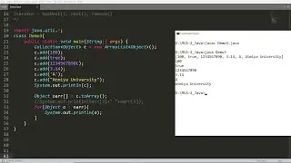 Collection Part-5 (Collection to Array using toArray() and get individual element from the same)