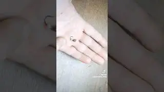 мормышка безмотылка из Шурупа