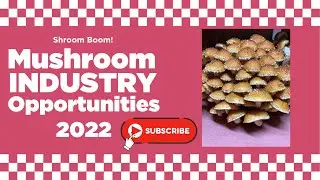 Mushroom Industry Opportunities in 2022! Shroom Boom