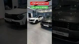 ‼️KIA цены у ДИЛЕРА в КОРЕЕ‼️