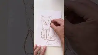 How to draw cat. Drawing cat easy. Art lesson. Ideas for drawing.