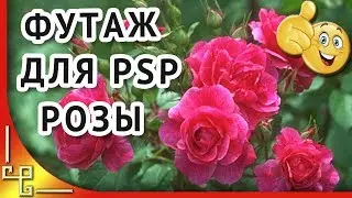 Футаж Розы. Натуральный футаж. Футажи для видеомонтажа HD