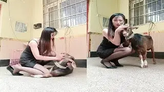 woman butcher goat/ Educational video