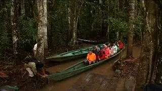 First Ever Climate Summit in Amazon Country Amidst Growing Threat to Heart of the Planet