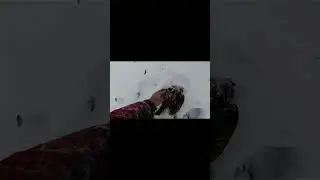 КТО ОБГЛОДАЛ ЧЕРЕП И ВЫКЛЕВАЛ ГЛАЗА? ЗАГАДОЧНАЯ НАХОДКА В ТАЙГЕ! 