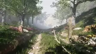 Forest - Unreal Engine 4  and Quixel Megascans