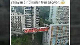 DÜNYANIN ŞAŞKINA ÇEVİREN DÜZENİNİ GÖSTEREN 24 FOTOĞRAFLI BİLGİ