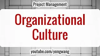 Project Management 06: Organizational Culture