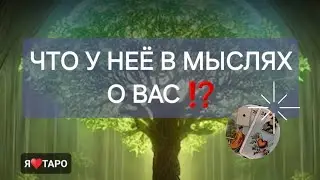 Что в мыслях женщины о вас⁉️ расклад таро для мужчин