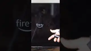 Fix Stuck at Logo Screen on Firestick (Short Tutorial)