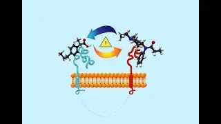 A New Approach for Identifying Drug Interactions