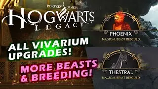 Hogwarts Legacy - All Beast Vivarium Upgrades & Breeding