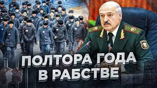 Лукашенко отправил айтишника в колхоз / Реальная Беларусь / Окрестина и Витольд Ашурок