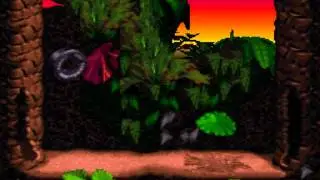 Donkey Kong Country 101% D - Vehemence Stroll
