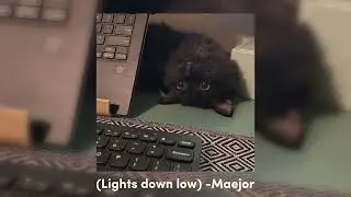 “Lights down low” (sped up) -Maejor