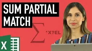 How to Use SUMIFS with Partial Match and Wildcards in Excel